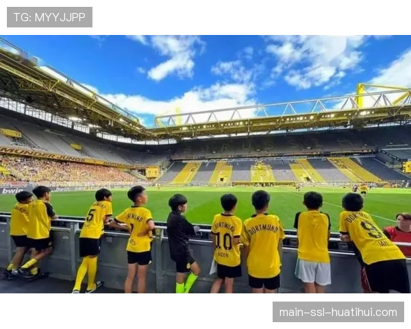 德国足协提议改革地区联赛体系，以加强青训球员比赛机会